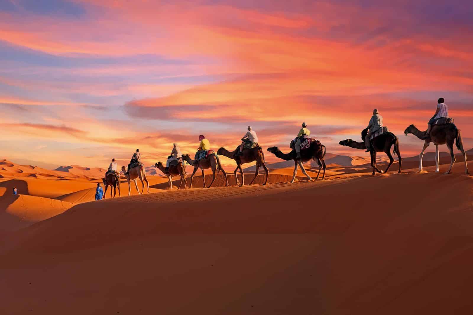 Morocco Private Luxury Tours