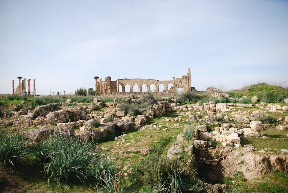 Explore the historic ruins of Volubilis, an ancient Roman city in Morocco.