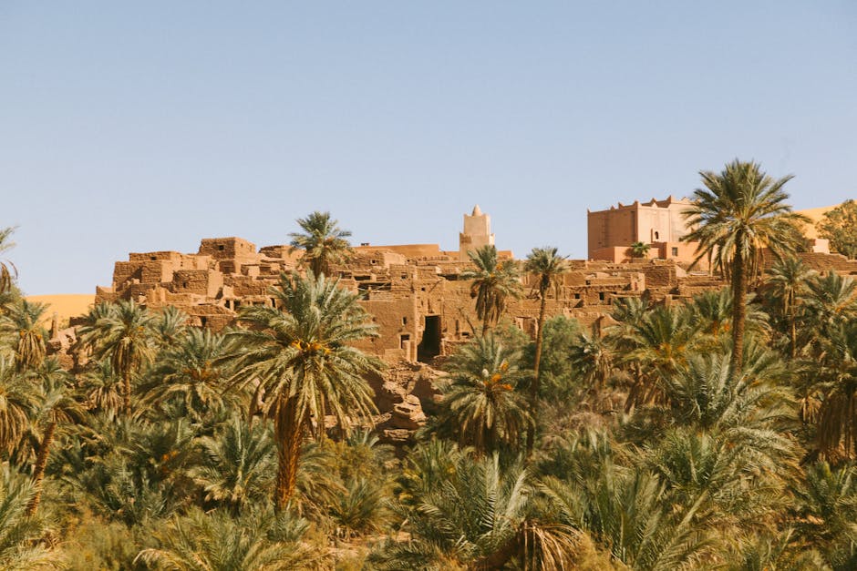 Explore ancient desert architecture surrounded by lush palm trees under a clear blue sky.