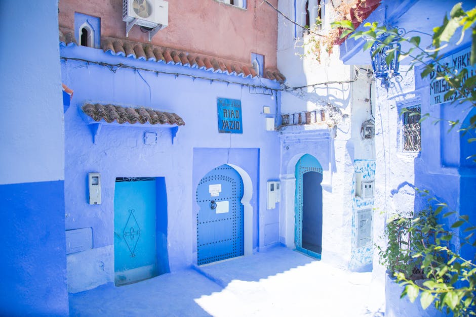 Blue exterior of house with doors located under sunlight on street with green plants in city of Morocco in summer