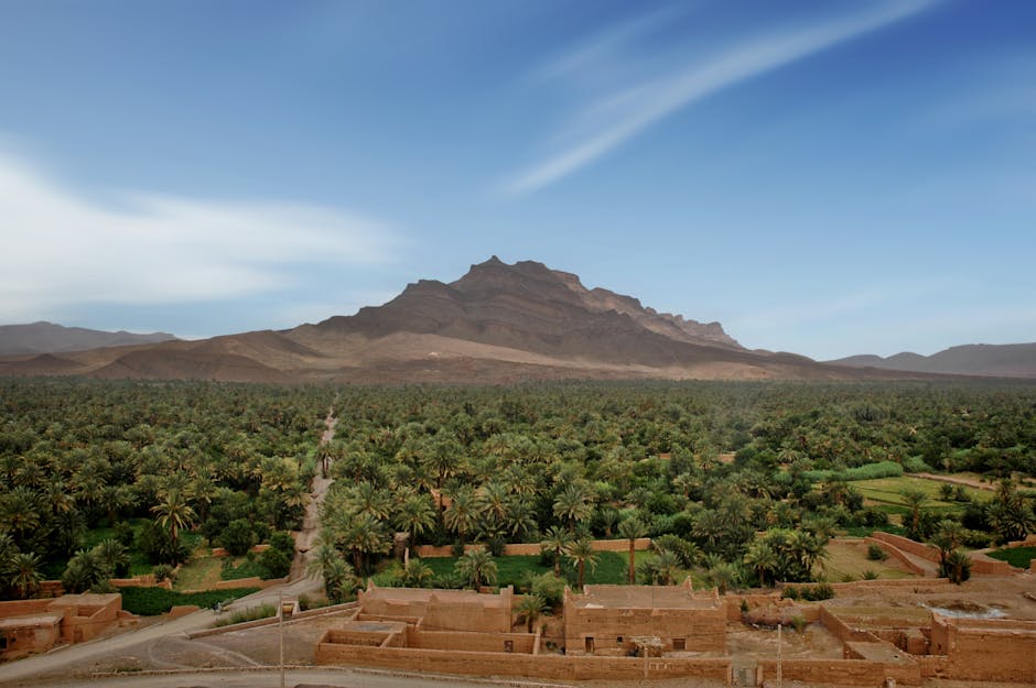 Breathtaking landscape of the lush Drâa Valley with mountains and greenery in Morocco.